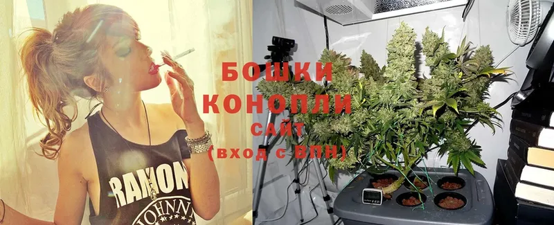 Конопля Bruce Banner  Катайск 